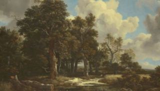 Jacob van Ruisdael, Orée de forêt avec un champ de céréales