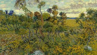 Du grenier au musée - Un van Gogh de la période majeure authentifié