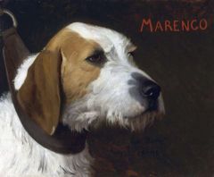 Gerome Jean-leon Marengo