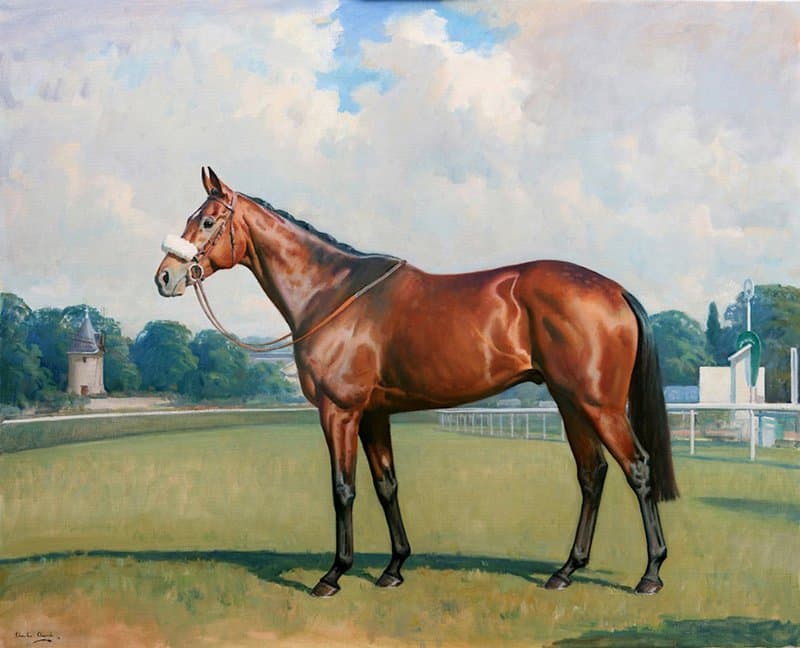 Peinture sur toile, reproduction de Dunaden Victorieux En 2011 De La Melbourne Cup Par Charles Church qualité musée