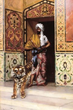 Ernst Rudolf The Pasha S Favourite Tiger