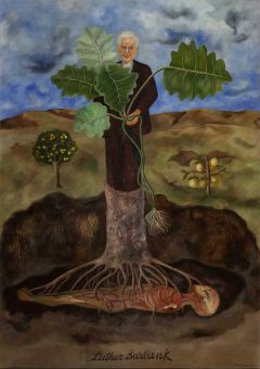 Frida Kahlo, Portrait de Luther Burbank