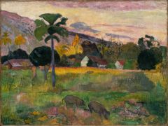 Gauguin, Haere Mai