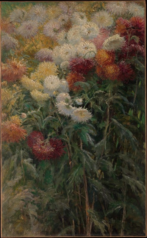 Peinture sur toile, reproduction de Gustave Caillebotte Chrysanthemums In The Garden At Petit-gennevilliers qualité musée