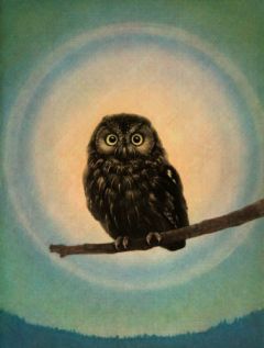 Ikai Tadashi Morning