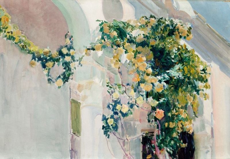 Peinture sur toile, reproduction de Joaquin Sorolla, A Rose Bush At Sorolla's House 1918-19 qualité musée