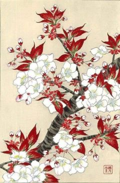 Kawarazaki Shodo Sakura Cherry Blossoms C. 1950