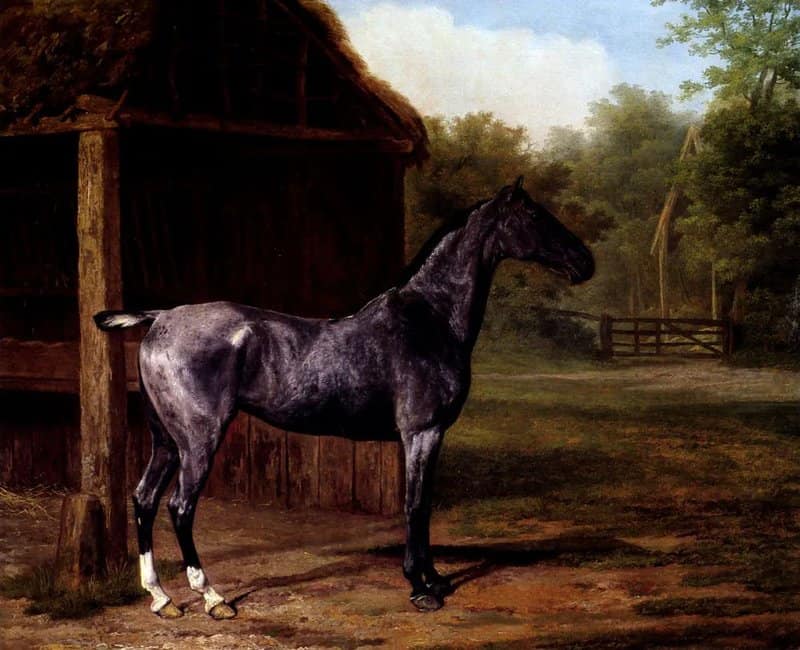 Peinture sur toile, reproduction de La Jument De Lord River Dans Un Paysage Par Jacques-laurent Agasse qualité musée