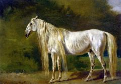 Le Cheval Blanc Par Rosa Bonheur