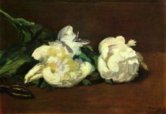 Manet, Nature Morte Avec Pivoines Blanches