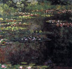 Monet Nenuphars - Paysage Aquatique 5