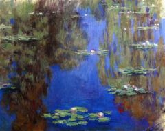 Monet Nenuphars 5