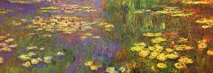 Monet Plantes D Eau Et Nypmheas