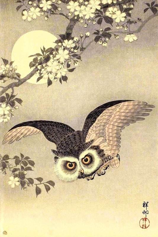 Peinture sur toile, reproduction de Ohara Koson Scops Owl In Flight Cherry Blossoms And Full Moon 1926 qualité musée