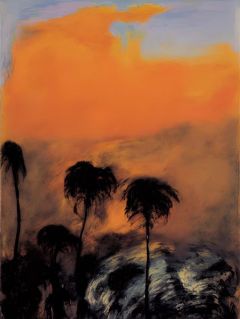 Paysage Orange Et Noir