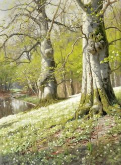 Peder Mork Monsted Anemones 1901