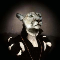 Puma En Costume Medicis