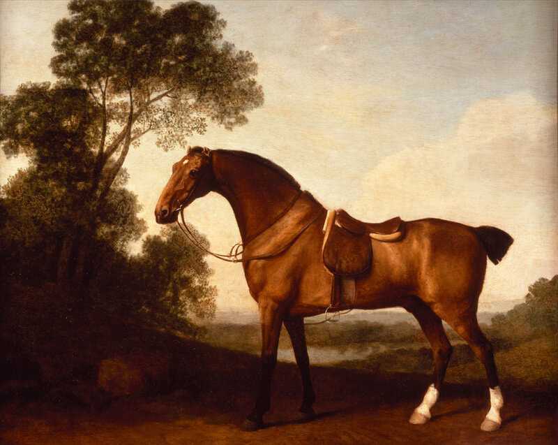 Peinture sur toile, reproduction de Un cheval de chasse Bai sellé par George Stubbs qualité musée