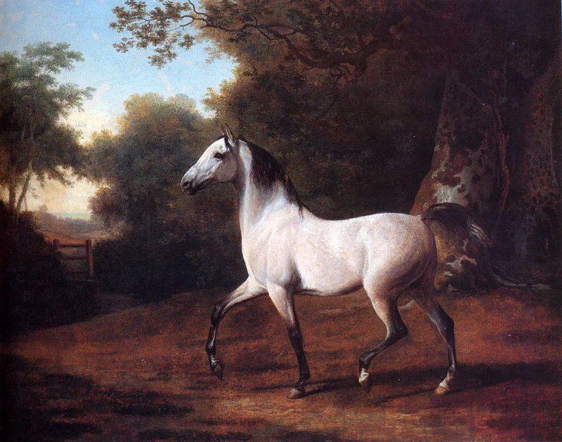 Peinture sur toile, reproduction de Un étalon arabe dans un paysage boisé par Jacques-Laurent Agasse qualité musée