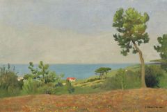 Vallotton Felix Paysage Maritime 1904