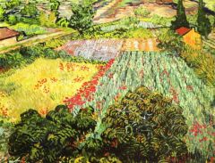 Van Gogh, Champ en fleur