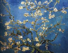 Vincent Van Gogh Amandier En Fleurs - Bleu Marine