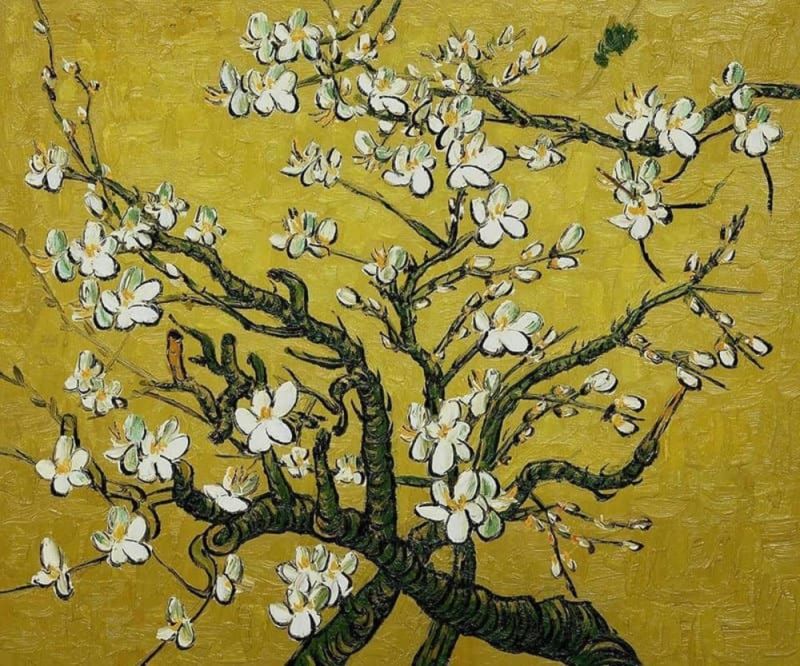 Peinture sur toile, reproduction de Vincent Van Gogh Amandier En Fleurs - Jaune qualité musée