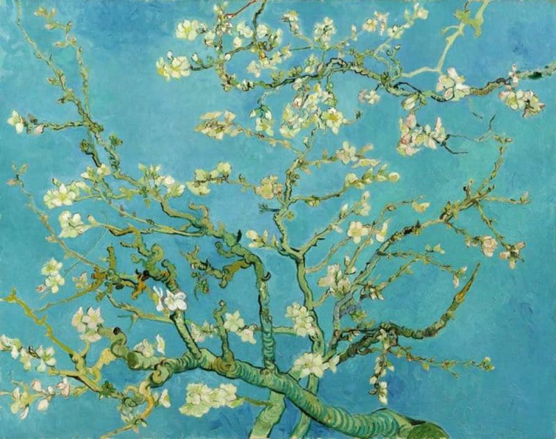 Peinture sur toile, reproduction de Vincent Van Gogh Amandier En Fleurs - Turquoise qualité musée