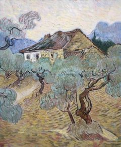 Vincent Van Gogh, The White Cottage Among The Olive Trees 1889
