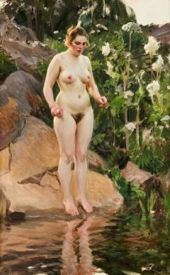 Zorn Anders Archipelago Flowers