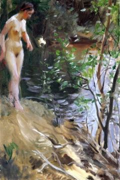 Zorn Anders Model At Shore