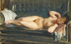 Zorn Anders On The Blue-grey Leather Couch