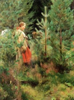 Zorn Anders Vallkulla