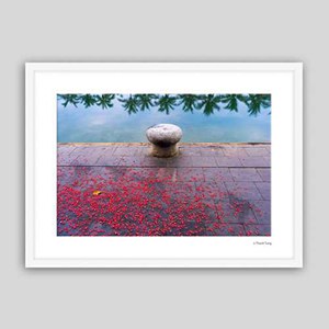 Framed paper print
